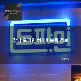 강남 도파민 하이퍼블릭 정보 | 가격,정보,예약,시스템,후기