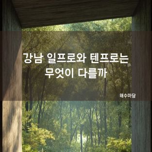강남 일프로와 텐프로는 무엇이 다를까