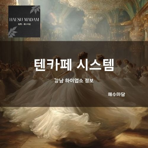 텐카페 강남텐카페 해수마담